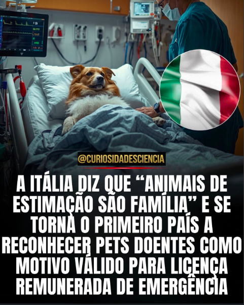 Sobre vínculo, responsabilidade, saúde mental e humanidade.