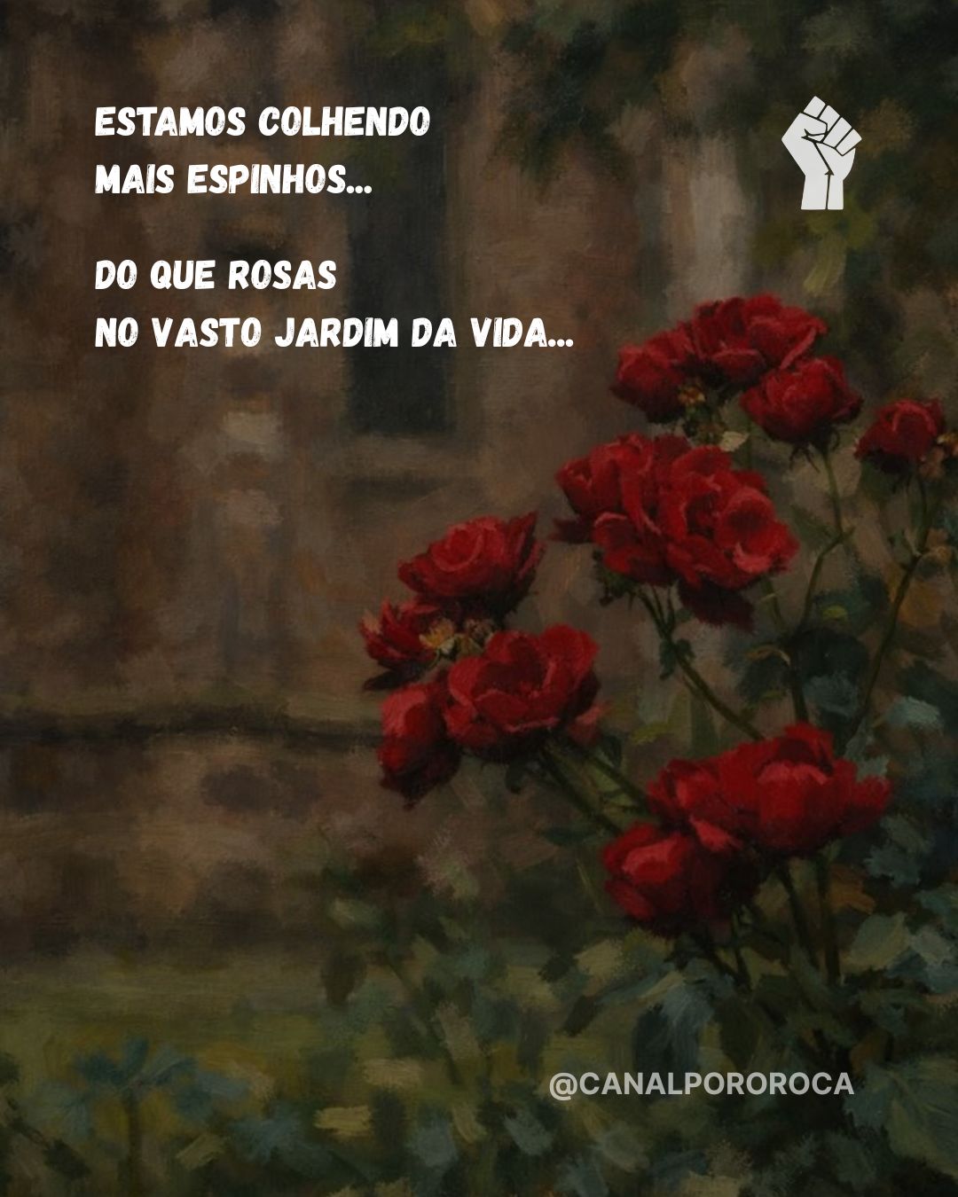 Estamos colhendo mais espinhos do que rosas no vasto jardim da vida