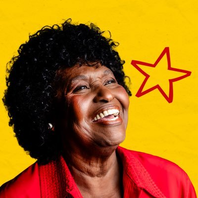 “Quem pede punição ao Brasil está nos traindo”: Benedita alfineta clã Bolsonaro